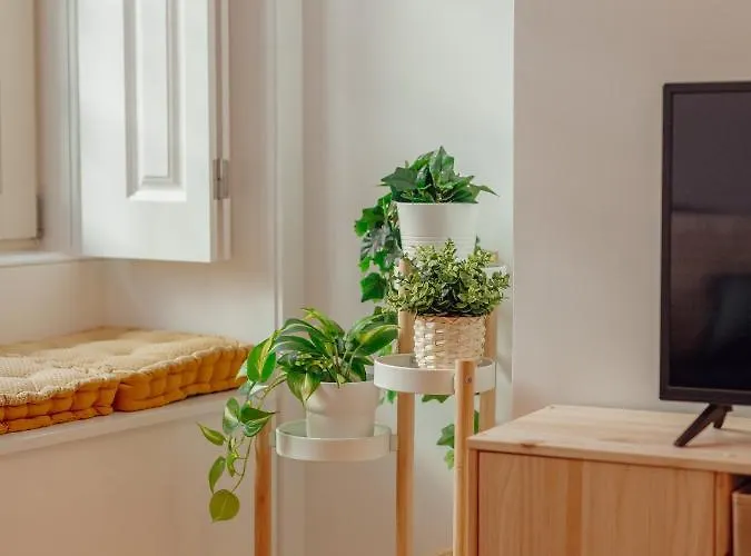 Guest Poveiros Lejlighed Porto