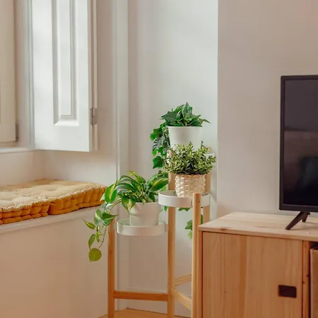 Guest Poveiros Апартаменты *